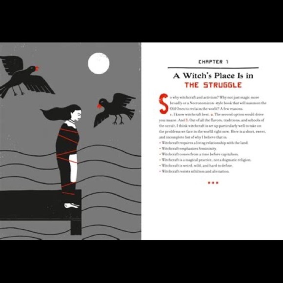 NEW Revolutionary Witchcraft - A Guide to Magical Activism by Sarah Lyons BOOK - Picture 5 of 7